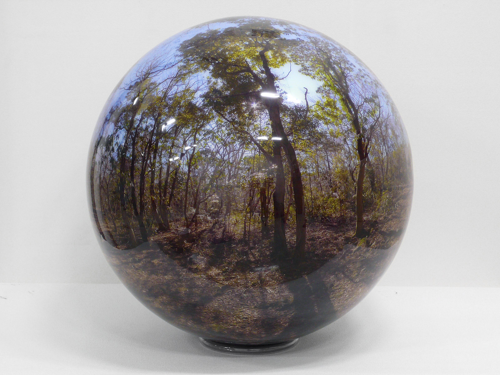 Bernd Halbherr, Jeju forest, C-print covered with acrylic, mixed media, diam. 50cm