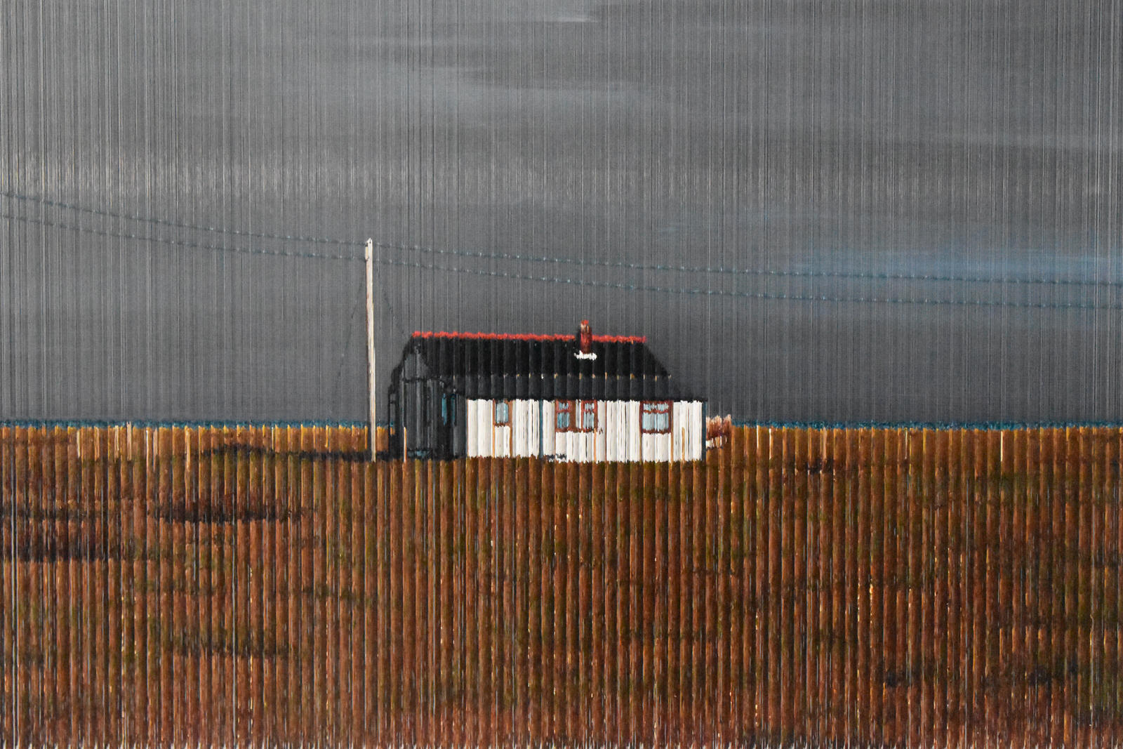 Robert Currie, Dungeness, 2022, nylon monofilaments, acrylic, perspex case, 96 x 58 x 14 cm_Detail 03
